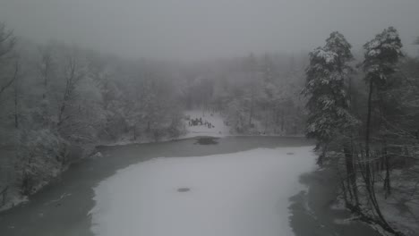 Gente-En-La-Orilla-Del-Lago-Reunida-Para-Nadar-En-El-Lago-Del-Bosque-En-Un-Día-De-Invierno-Brumoso-En-Polonia-Cerca-De-La-Ciudad-De-Elblag