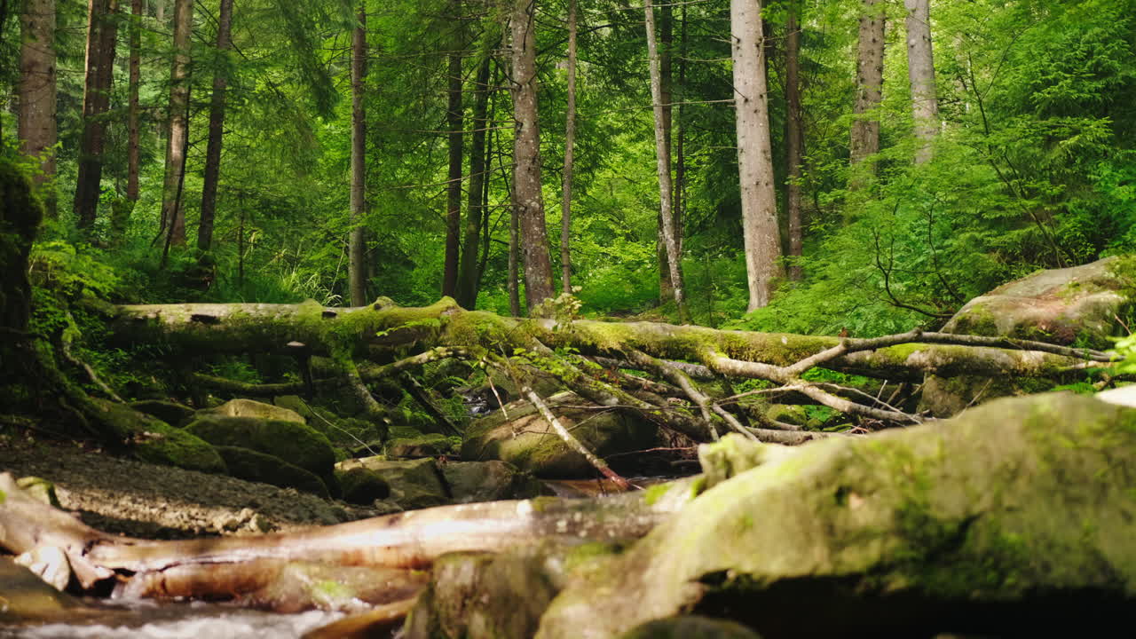 un viajero, una mujer con una chaqueta de plumón, cruza un río de montaña sobre un video de registro 4k
