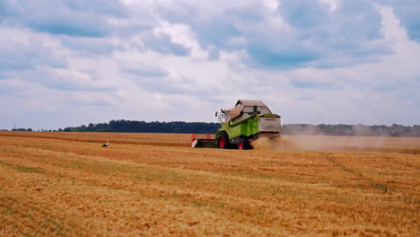 combine harvester working on field. harvesting machine driver cutting crop in farmland