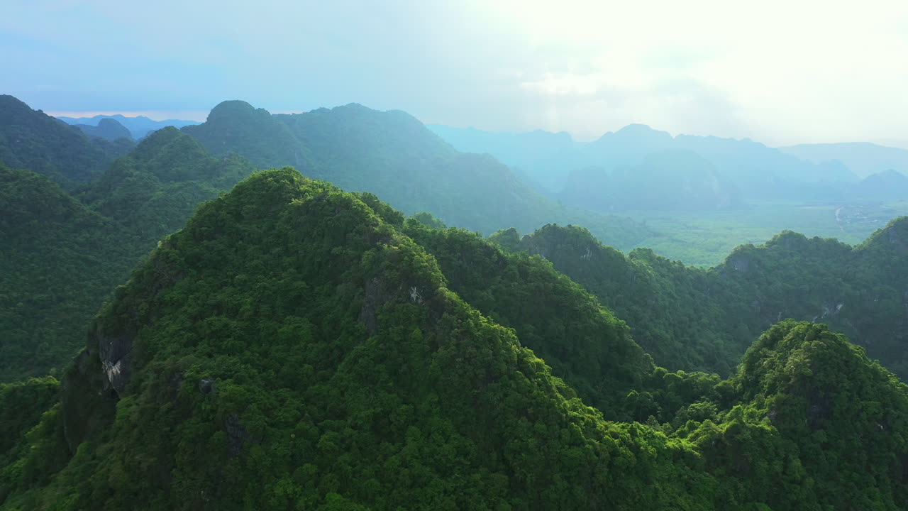 인생을 즐기세요.