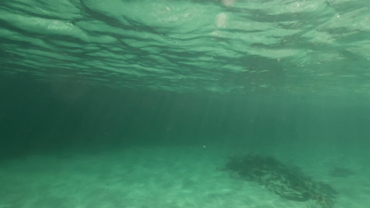 Snorkeling in clear shallow waters