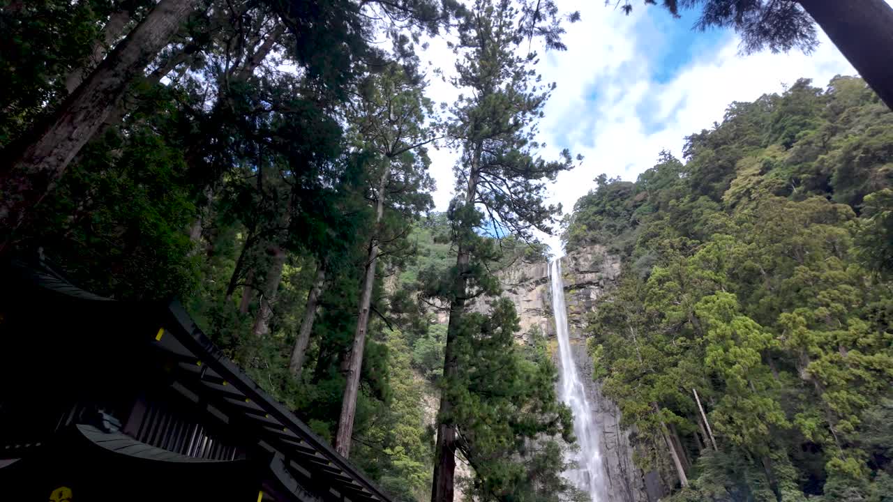 Nachi Falls cascades amidst lush green trees, surrounded by nature and serenity. pan right