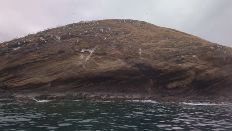 gimbal close-up panorámica del cráter molokini con aves marinas anidando a lo largo de los acantilados rocosos en el sur de maui, hawai