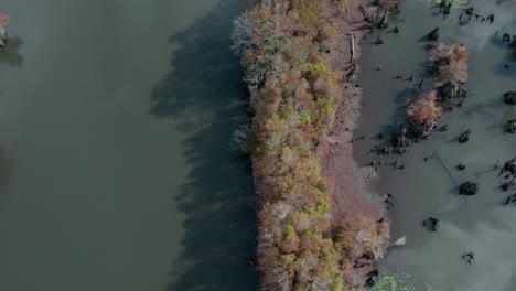 Aerial-over-river,-wetlands-and-dense-bald-cypress-trees-during-autumn-in-Florida