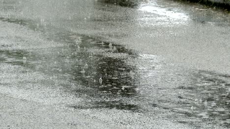 abstract background, rain drops on the road, loop