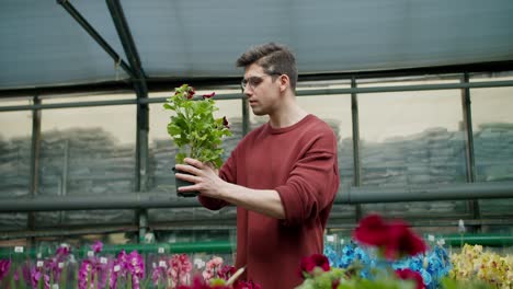 suéter marrón joven con gafas examinando flor en una tienda de plantas especializadas