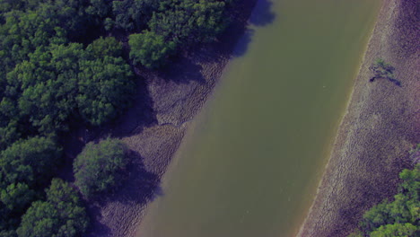 Low-pass-over-the-mangroves-forest,-following-the-lake,-reflecting-sun-in-the-water