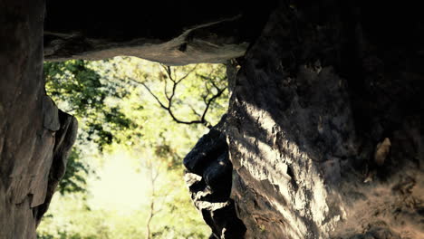 shot taken from inside a small cave looking out