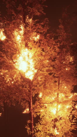 a burning tree in the forest at night