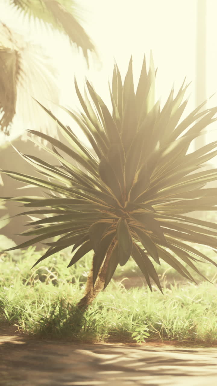 A close-up of a green tropical plant