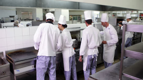 chefs at work in a busy kitchen