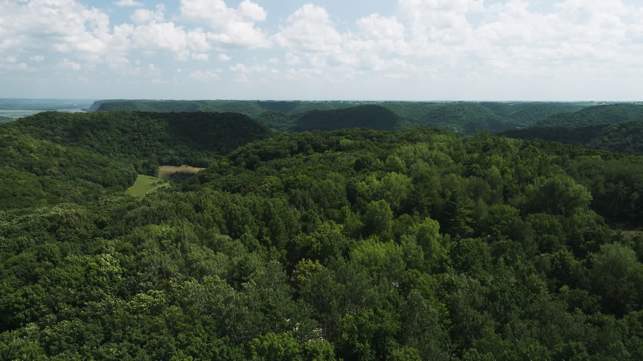 vista aérea de árboles verdes en el bosque en el parque estatal de great river bluffs en minnesota, ee.