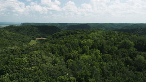 Vista-Aérea-De-árboles-Verdes-En-El-Bosque-En-El-Parque-Estatal-Great-River-Bluffs-En-Minnesota,-EE.UU.