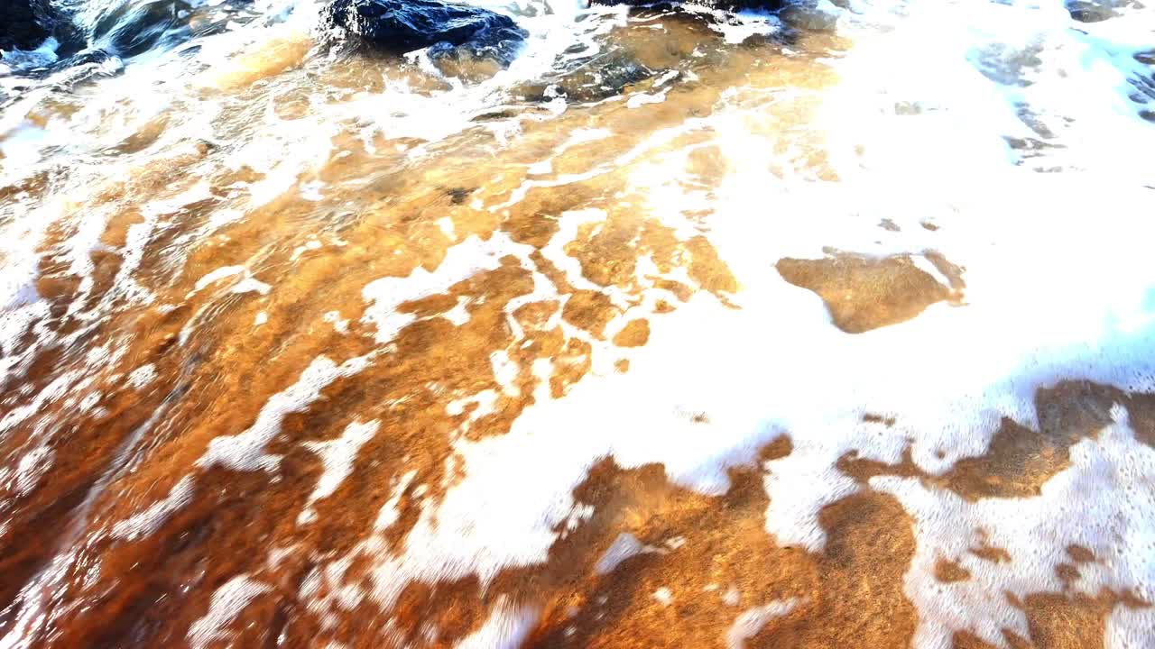 원활한 루프 배경, 부드러운 파도가 모래 해변을 고,  거품