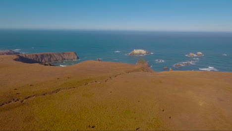 El-Ganado-Pasta-En-La-Costa-De-Big-Sur-En-El-Centro-De-California-2