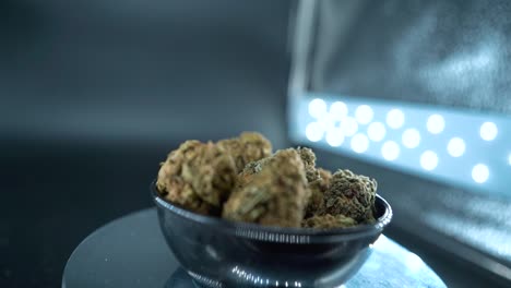 Ein-Filmischer-Makrozoom-In-Einer-Detaillierten,-Sanften-Kranbewegungsaufnahme-Einer-Cannabispflanze,-Hybrider-Orangensorten,-Indica-Typ,-Marihuanablüte,-Zeitlupe-120 fps,-Studio-LED-Leuchten,-Glänzender-Drehständer