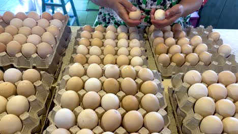 woman sorting eggs into cartons