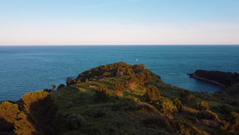 una impresionante vista aérea de un avión no tripulado volando sobre árboles exuberantes con una hermosa bahía en el fondo al atardecer, bañado en la luz dorada del sol poniente