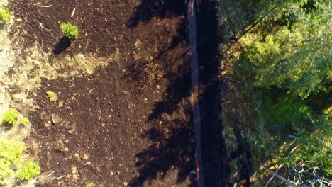 Forest-pathway-aerial-drop-down-view-nature-landscape-terrain-patch