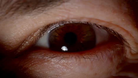 un primer plano de una persona caucásica con ojos marrones parpadeando y mirando pacíficamente a la cámara en la oscuridad.