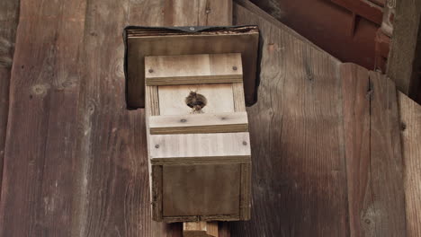 centered framed birdhouse hanging at a wooden garden house