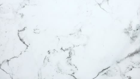 los pétalos de la rosa se dispersan desde el centro hacia afuera
