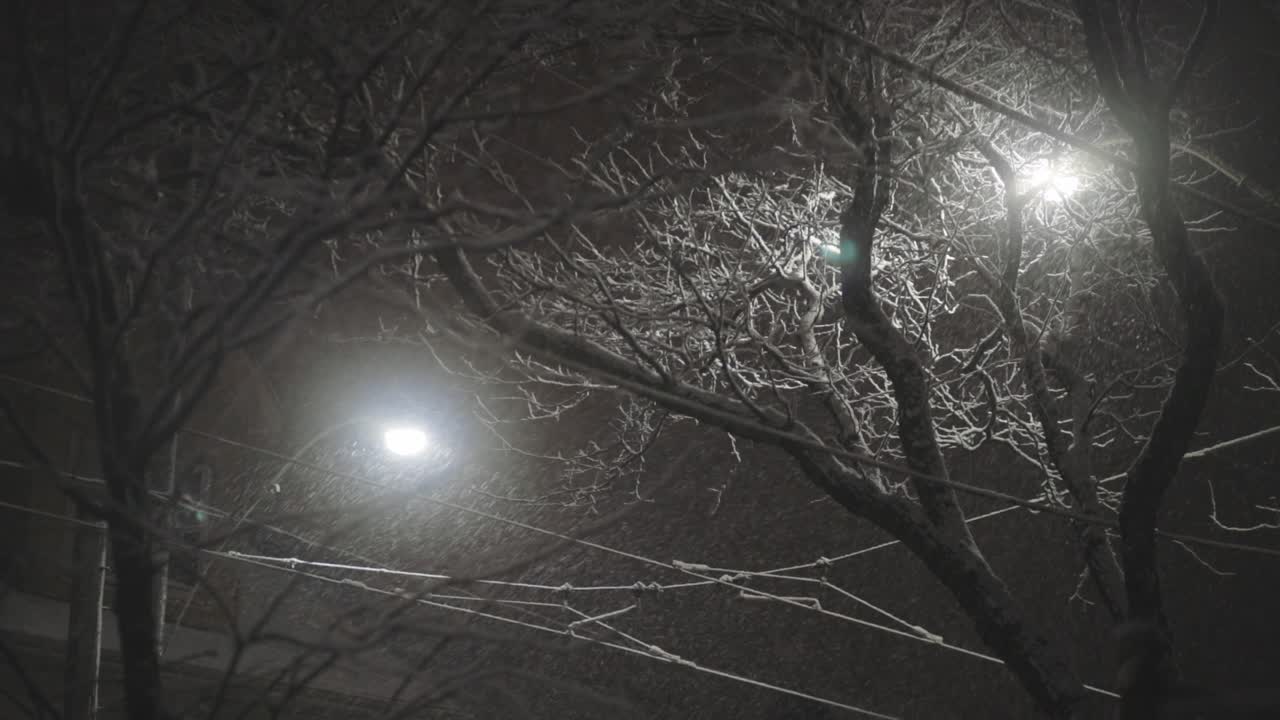 tormenta de nieve en la ciudad durante la noche de invierno