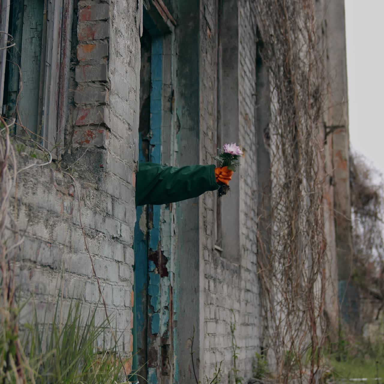 Hand with fresh flowers in abandoned place. Abandoned place after chemical attack. Human's hand in protective glove hold flowers. Ecological disaster