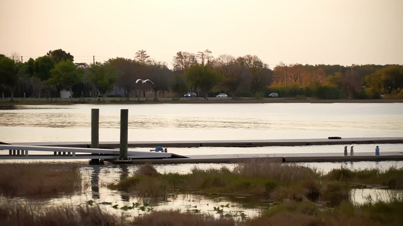 Fredfyldt solopgangsudsigt over en træmole, der strækker sig ud i Lake Minneola i Clermont, Florida, med blødt gyldent lys, der skinner hen over det rolige vand og kystlinjen.