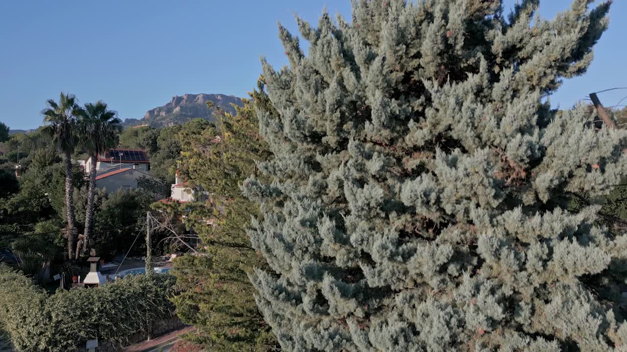 드론이 그린 캐니언 동네 위를 날아다니며 집과 나무를 드러니다.