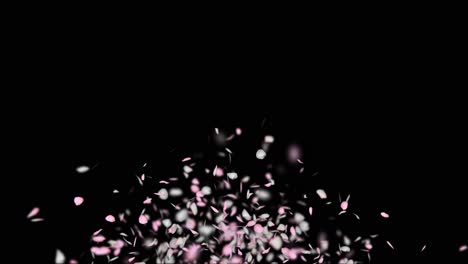 pink and white petals falling