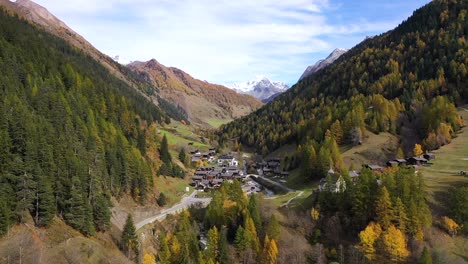 autumn view of larch forest in switzerland, with a town, mountains, snow peak and a river on the background