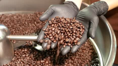 footages of the processes of coffee roasting with the coffee roaster