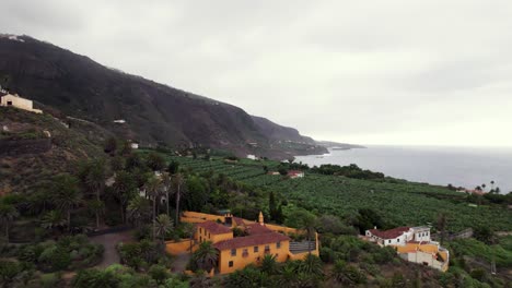 aerial reveal of banana plantation on tenerife seaside coastline