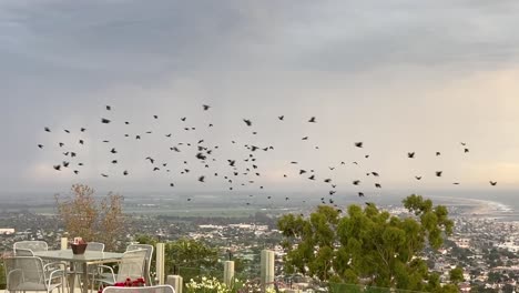 a large flock of crows turns suddenly as bolts of lightning strike the city in their path