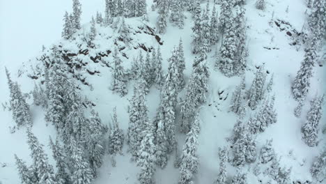 nieve en polvo profunda cinematográfica aérea colorado loveland estación de esquí túnel de eisenhower coon hill backcountry i70 invierno pesado primavera nieve división continental montañas rocosas volando aves vista visual