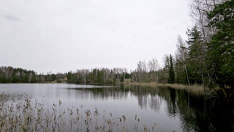 La-Cantera-De-Balas-En-Beverina,-Cesis,-Letonia,-Ofrece-Un-Paisaje-Sereno-Con-Un-Lago-Tranquilo-Que-Refleja-El-Cielo-Nublado,-Rodeado-De-Hierba-Alta,-árboles-Desnudos-Y-Un-Bosque-Siempre-Verde-Bajo-Un-Cielo-Nublado.