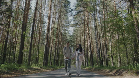 couple walking hand-in-hand through a pine forest