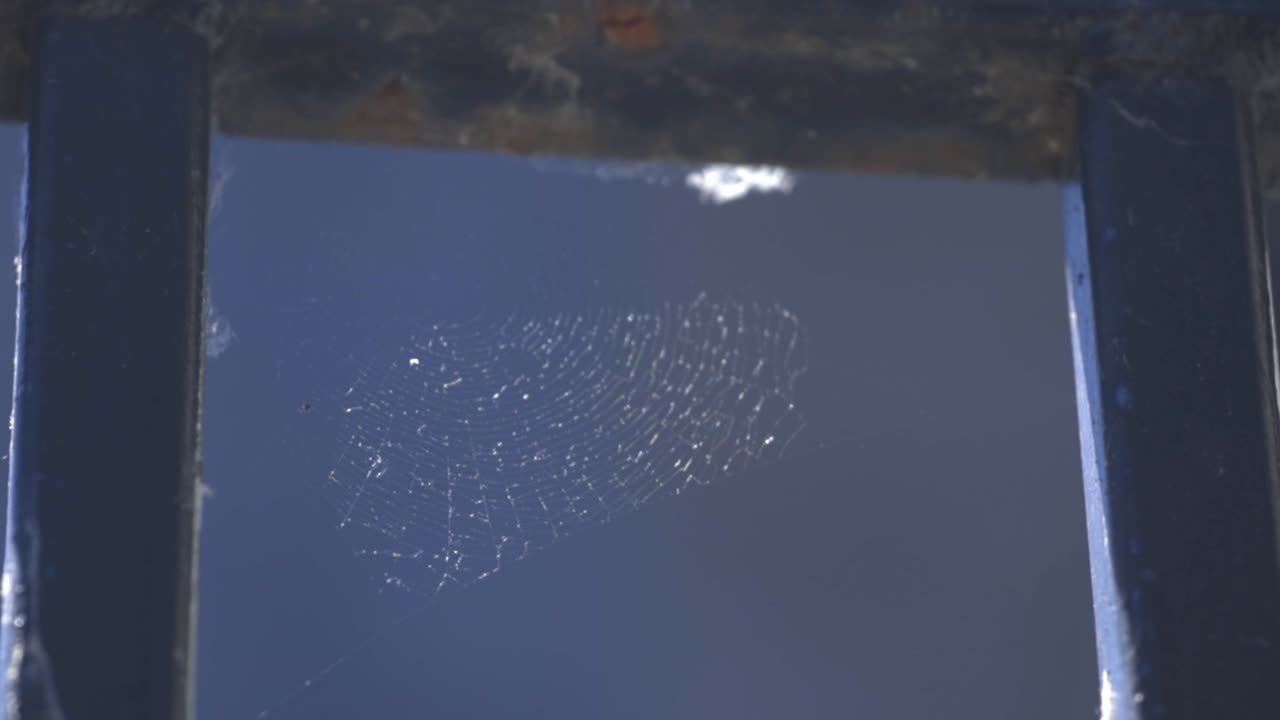 Spider Web On TheMetal Railings Moving In The Wind Against The Blue Sky. - low angle shot