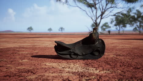 old decorated mexican saddle lying on sand