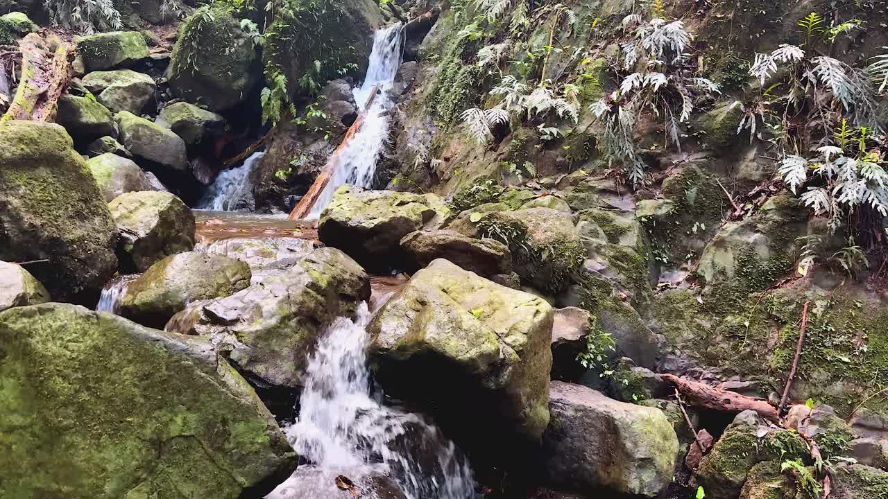Camera moves slowly down lush, mossy rocks beside cascading rainforest waterfall under soft daylight
