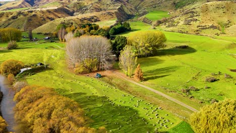 drone glides over a vibrant green farm landscape with grazing sheep, autumn trees, a winding stream, and distant hills under bright daylight