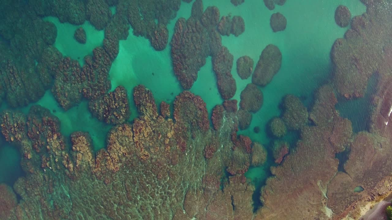 Uccelli bianchi volano sopra acque tropicali cristalline e azzurre e meravigliose barriere coralline, Costa Rica, ripresa aerea.