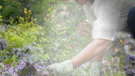 Animation-of-glowing-light-over-happy-senior-woman-gardening