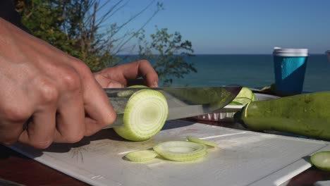 preparando una comida en la orilla del mar