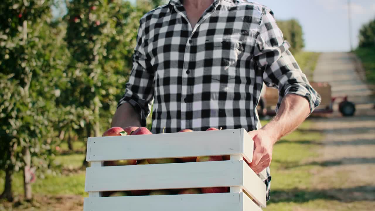 Close up of farmer carrying a full crate of apples