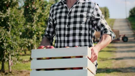 close up of farmer carrying a full crate of apples