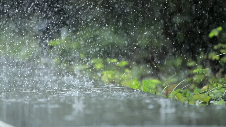 Close-up view of the rain