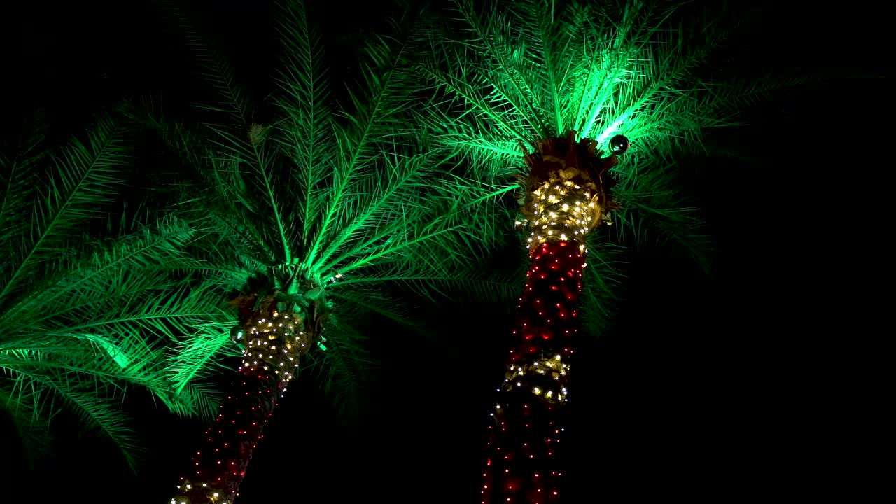 palmeras envueltas en coloridas luces navideñas - vacaciones tropicales de navidad