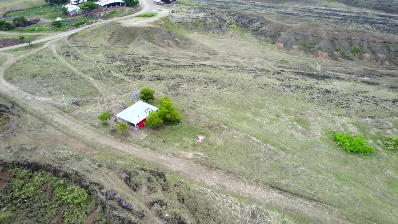 maravillarse de la resiliencia de la vida en este entorno aparentemente inhóspito